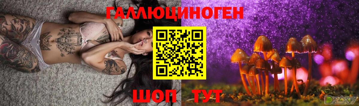 Лосино-Петровский  Псилоцибиновые грибы MAGIC MUSHROOMS  Галлюциногенные грибы Psilocybine cubensis  купить   Вход с VPN 
